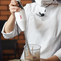 BAMIX เครื่องปั่นมือถือ เครื่องมิกซ์ส่วนผสมแบบมือถือ BAMIX GASTRO 200