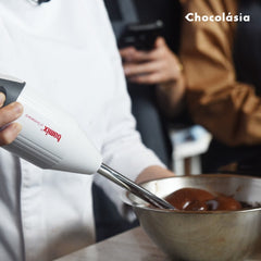 BAMIX เครื่องปั่นมือถือ เครื่องมิกซ์ส่วนผสมแบบมือถือ BAMIX GASTRO 200