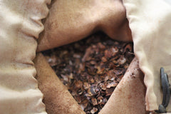 เครื่องกะเทาะเปลือกเมล็ดโกโก้ Cocoa Husking Machine รุ่น H1