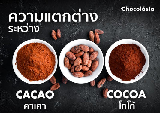 Cacao VS Cocoa: ความเหมือนที่แตกต่างกัน