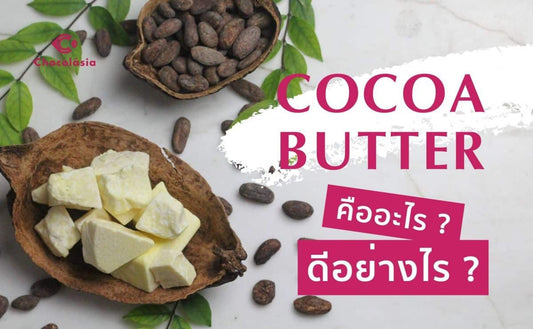 โกโก้บัตเตอร์ ขุมทรัพย์จากธรรมชาติเพื่อความงามและสุขภาพ