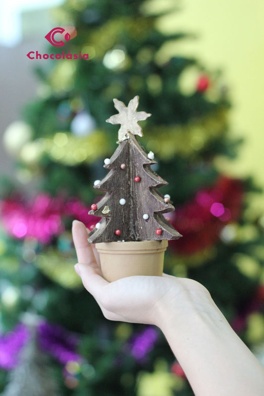 เวิร์คช็อปคริสต์มาส 2020 DIY Bean to Bar 3D Christmas Tree